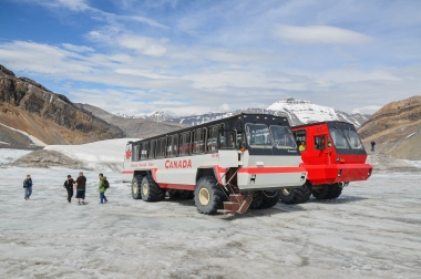 Columbia Icefields Glaciar