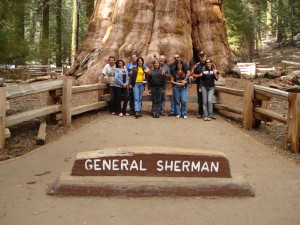 Grupo com a Sequoia General Shermann ao fundo